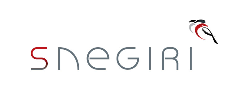 SNEGIRI